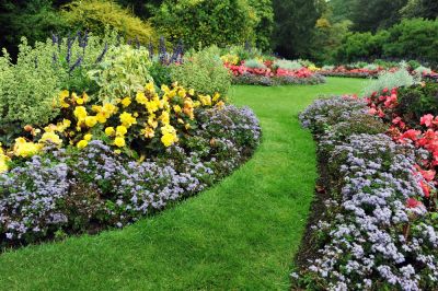 Perennials Come in a Variety of Colors