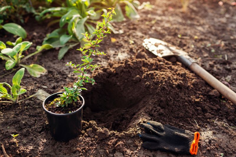 Perennial Planting