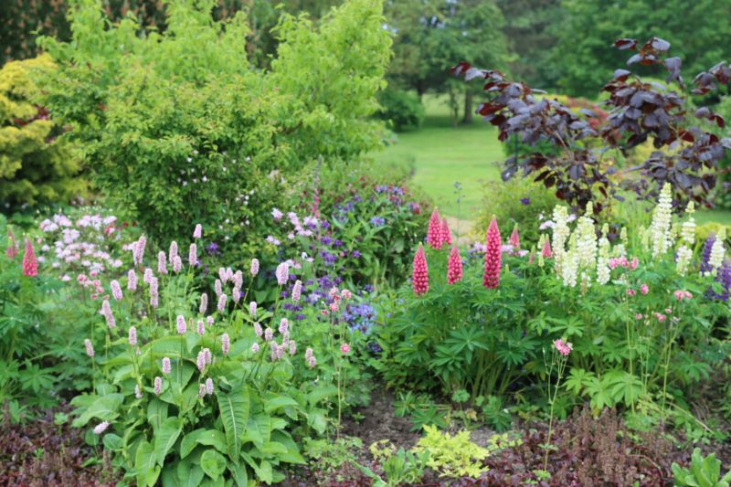 Perennial Planting Costs — Cost of Perennial Planting