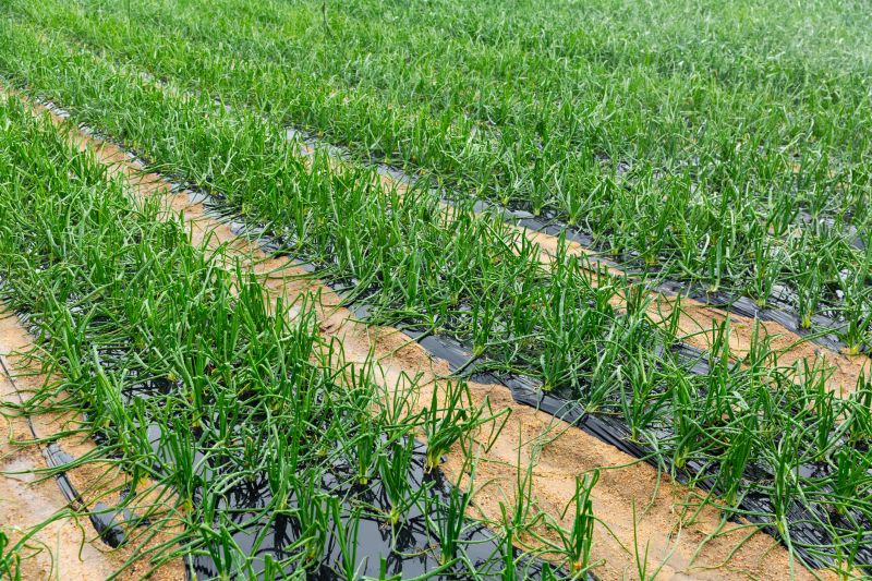 Perennial Planting Costs — Cost of Perennial Planting