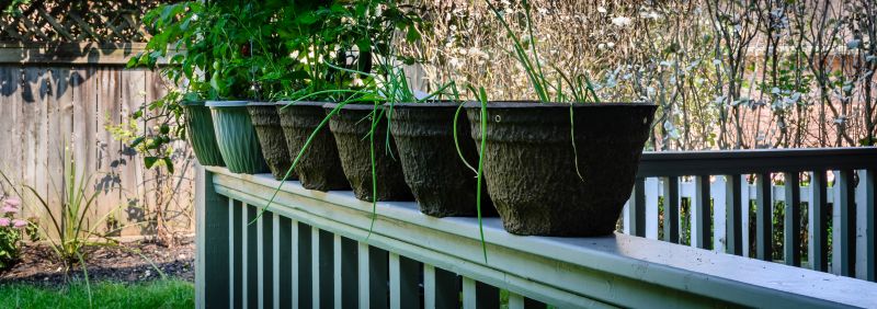 Perennial Planting Costs — Cost of Perennial Planting