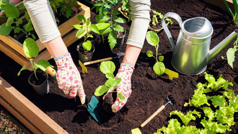 Perennial Planting Costs — Cost of Perennial Planting