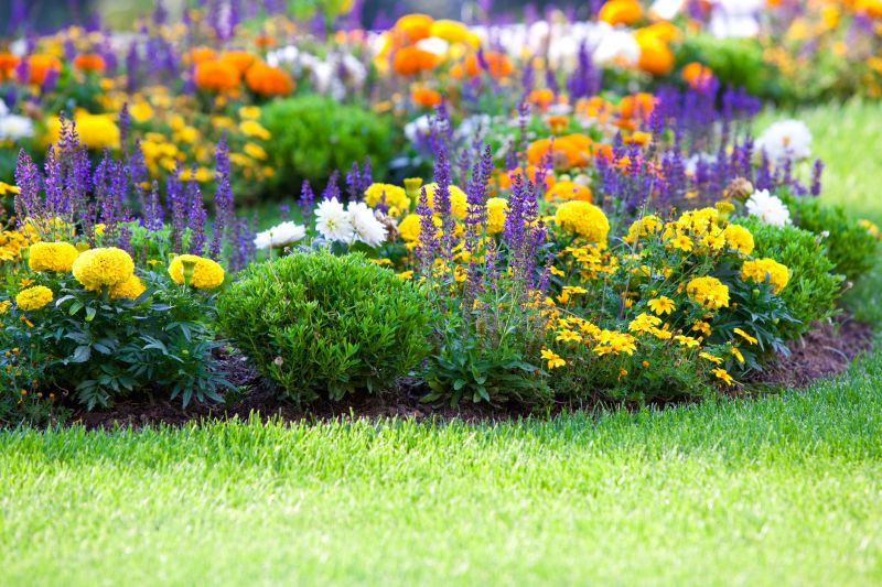 Colorful Perennial Beds